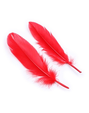 Kit coquin 4 pièces : Menottes, 2 plumes et masque rouge - 332400005